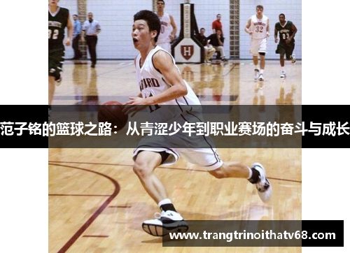 范子铭的篮球之路：从青涩少年到职业赛场的奋斗与成长