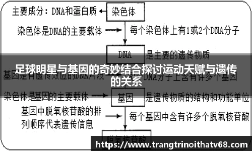 足球明星与基因的奇妙结合探讨运动天赋与遗传的关系